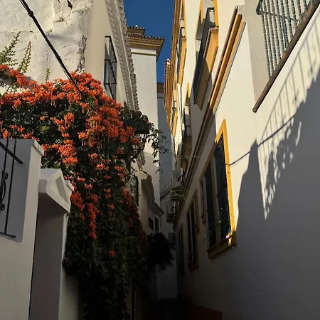 Casa Bonita Apartment Marbella